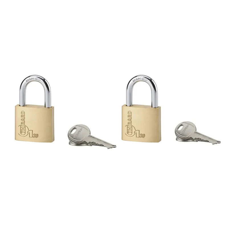 Lucchetto a cilindro Set da 2 lucchetti ottone 30 mm Superprijs
