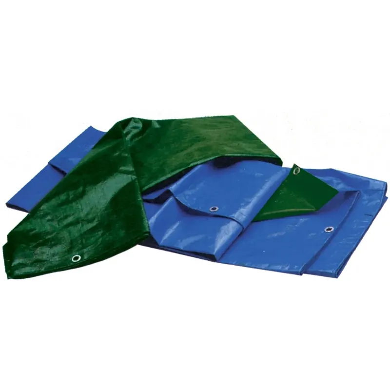Telone occhiellato antistrappo 2 x 6 m Nieuw