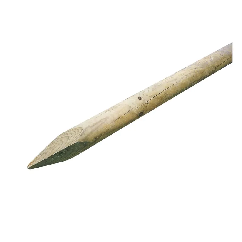 Aanbieding Palo tondo in legno con punta Ø 6 x H 100 cm