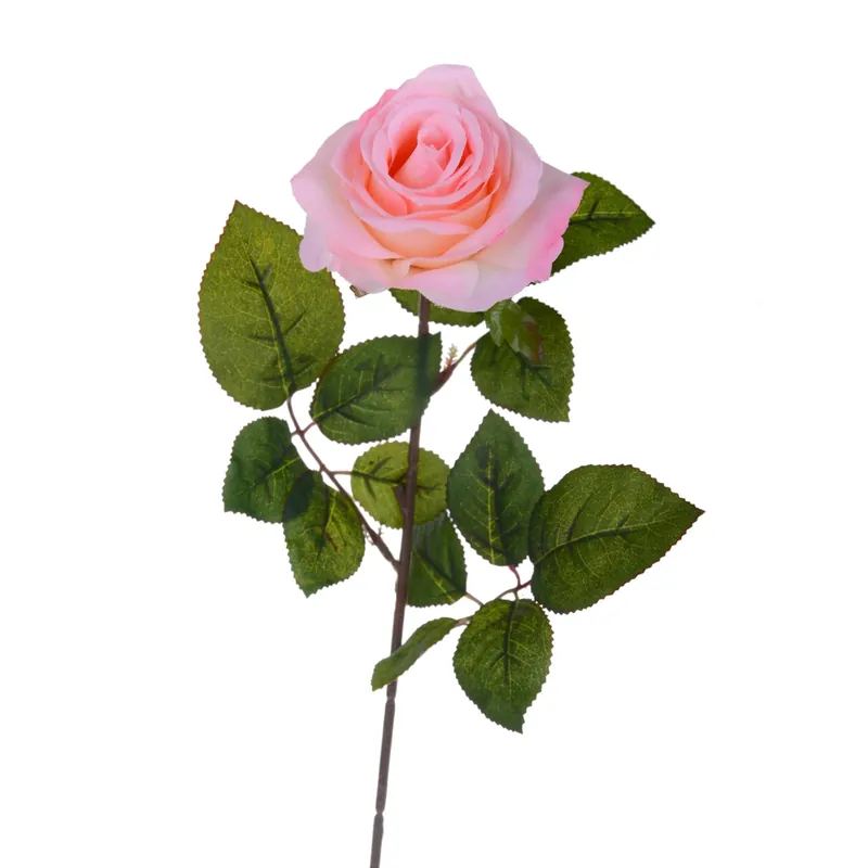 Rosa singola rosa H 67 cm Voordeelprijs