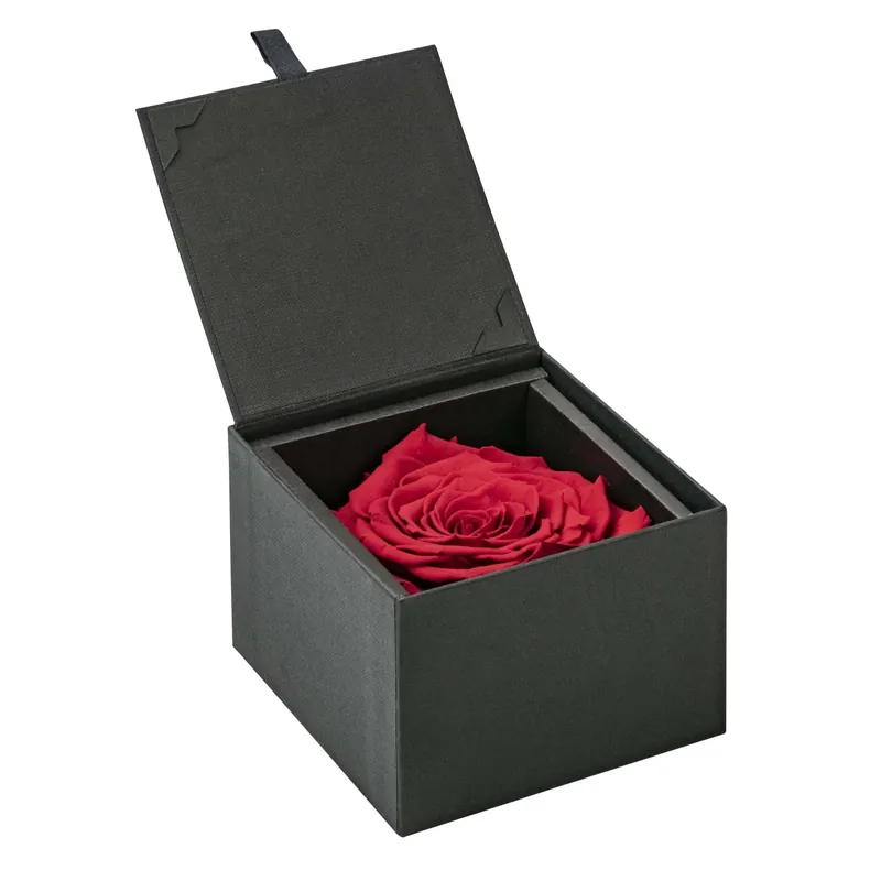 Confezione regalo rosa con vaso nero Ø 10,5 cm Bestseller