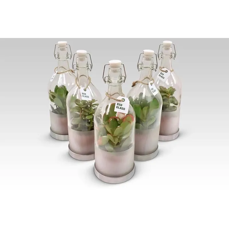 Message In Bottiglia Crassula vaso 8,5 cm Merkproduct