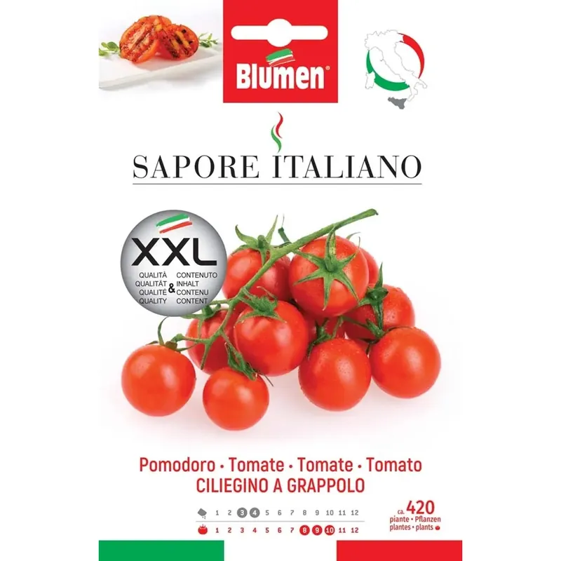 Voordeelprijs Semi Blumen Pomodoro ciliegino a grappolo XXL