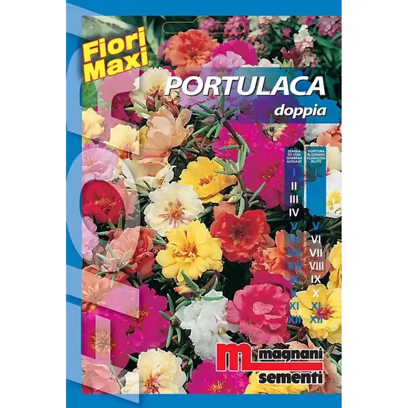 Betrouwbaar Semi fiori Portulaca doppia