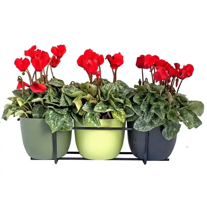 Portavaso Mini melody con coprivaso Ø 11 cm Veilige Betaling