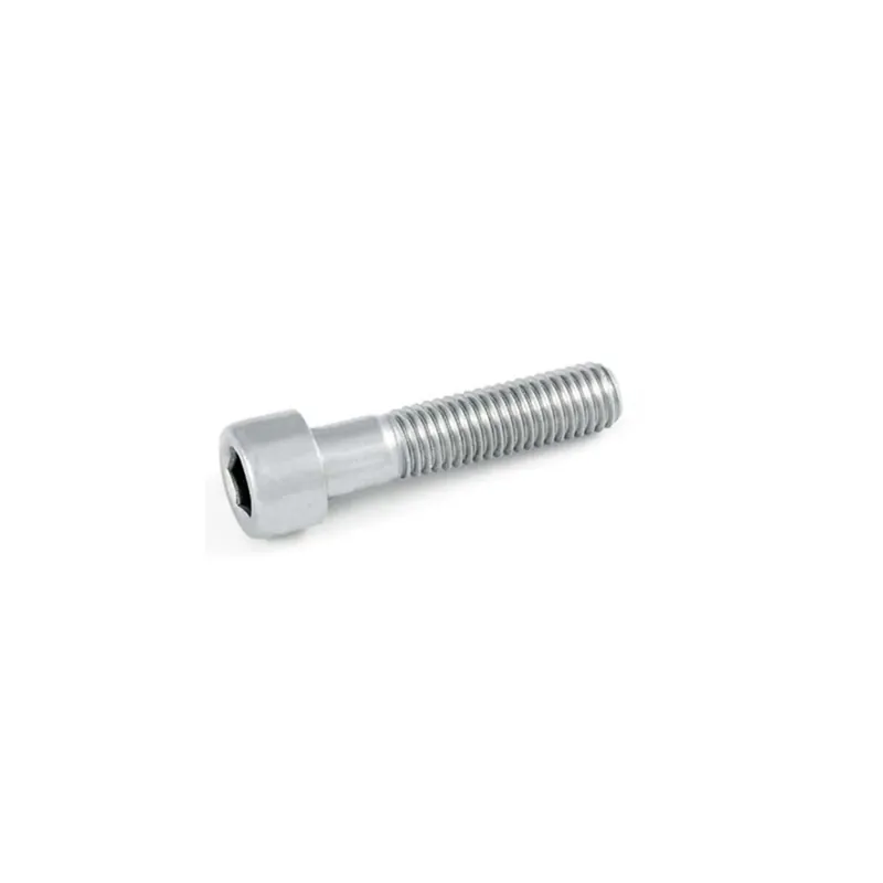 Must-Have Viti DIN 912 inox 8x20 mm