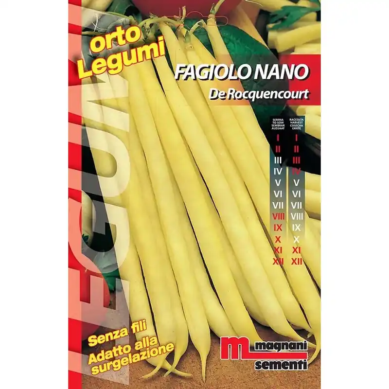 Finale Uitverkoop Semi Fagiolo nano Rocquencourt 100 g