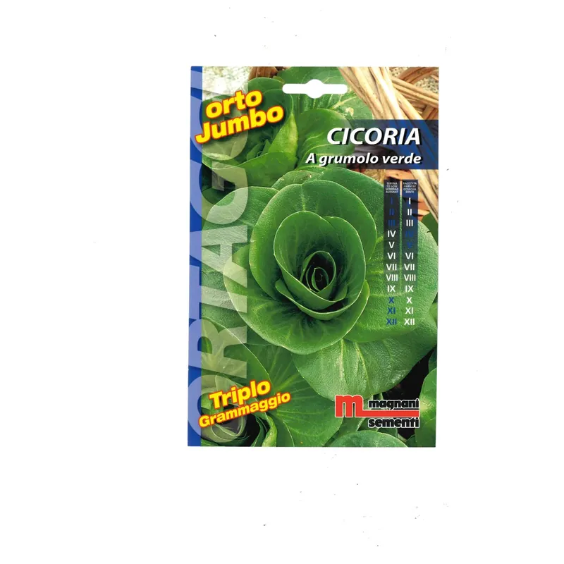 Actieprijs Semi orto Jumbo Cicoria Grumolo Verde