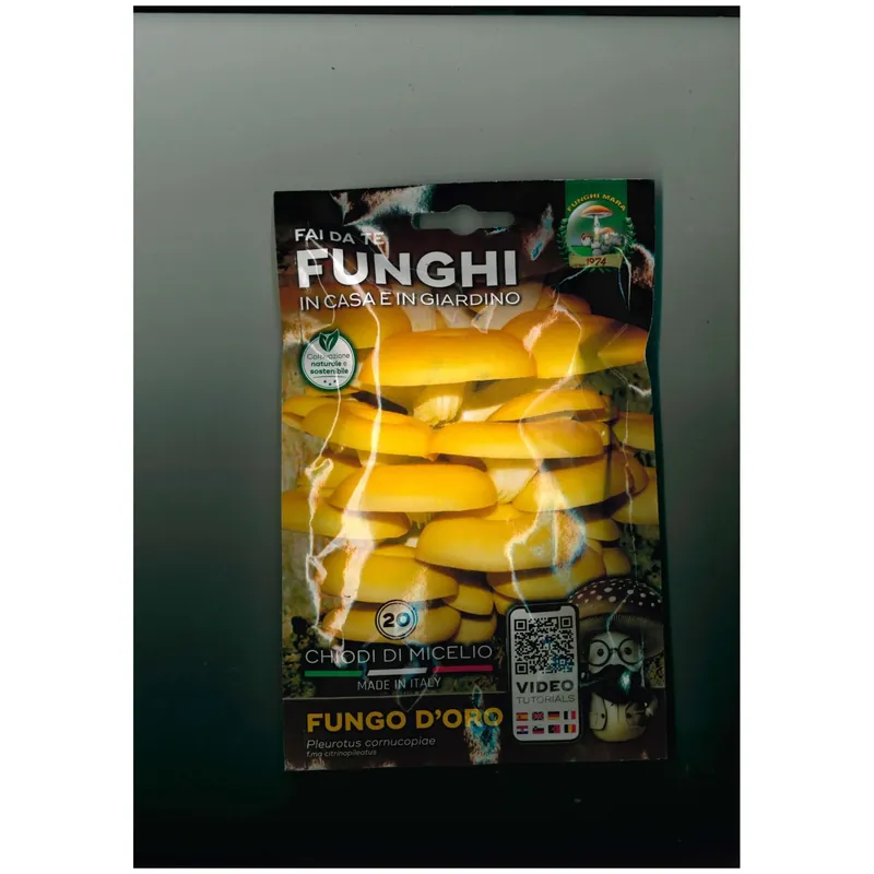 Veilige Betaling Funghi d`oro Chiodi di Micelio