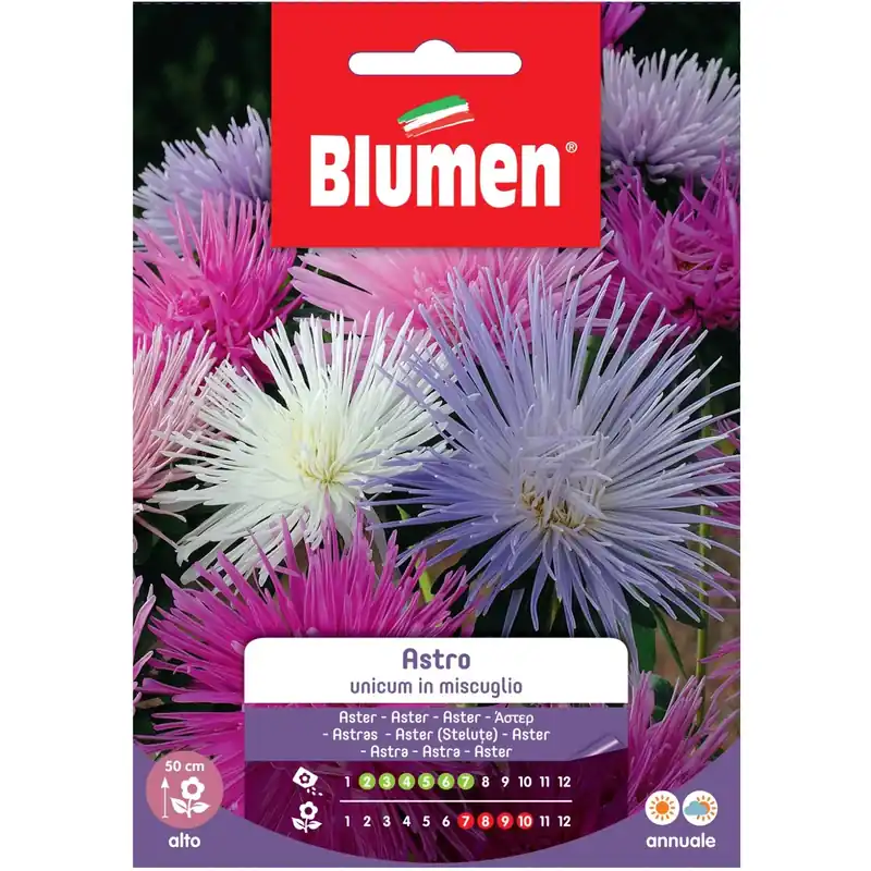 Flitsaanbieding Semi Blumen Astro unicum in miscuglio
