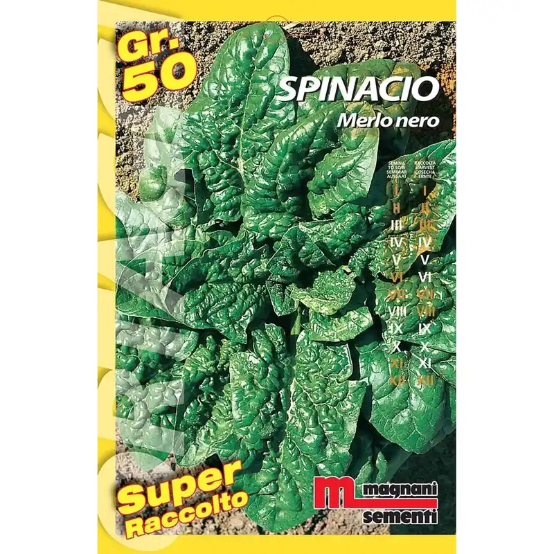 Semi orto big Spinacio merlo nero 50 g Direct Verzonden