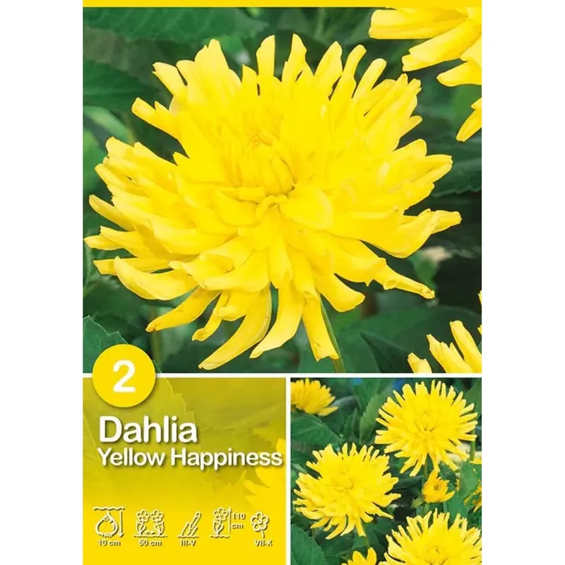 Uitverkoop Dalia "Yellow Happiness"