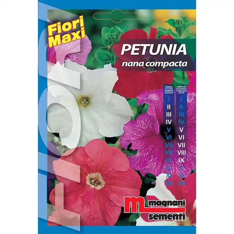 Semi fiori Petunia nana Compacta Express Levering