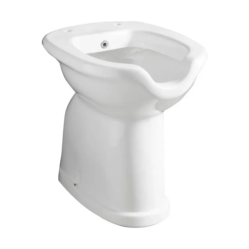 Express Levering Vaso/Bidet per disabili completo di erogatore scarico a muro