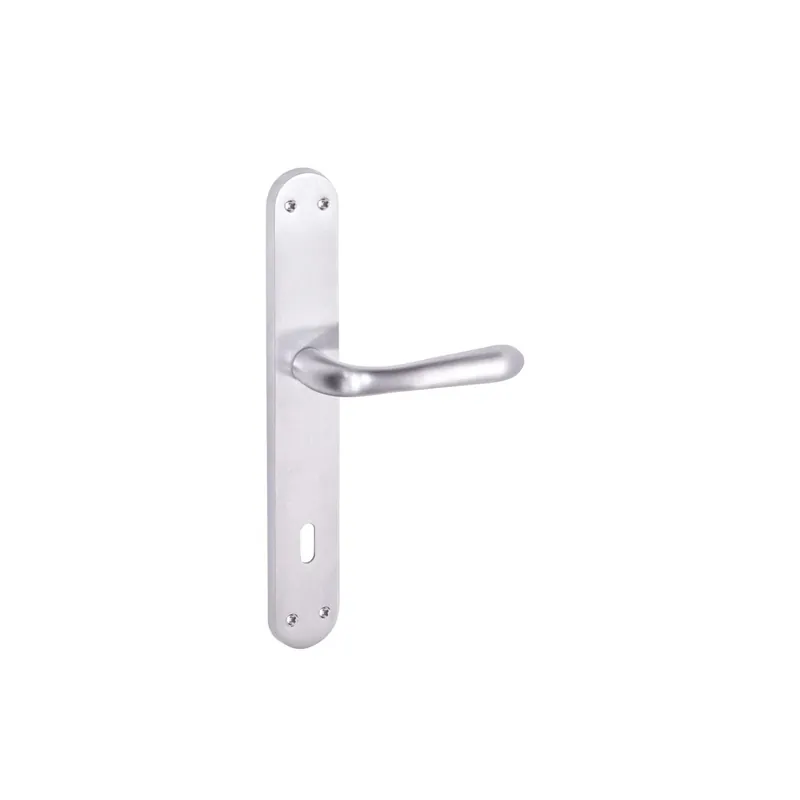 Maniglia Sei con placca patent speciale per ristrutturazioni 90 mm Actieprijs