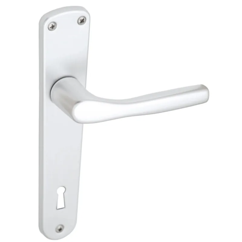 Maniglia alluminio con placca foro patent argento Beperkt Aanbod