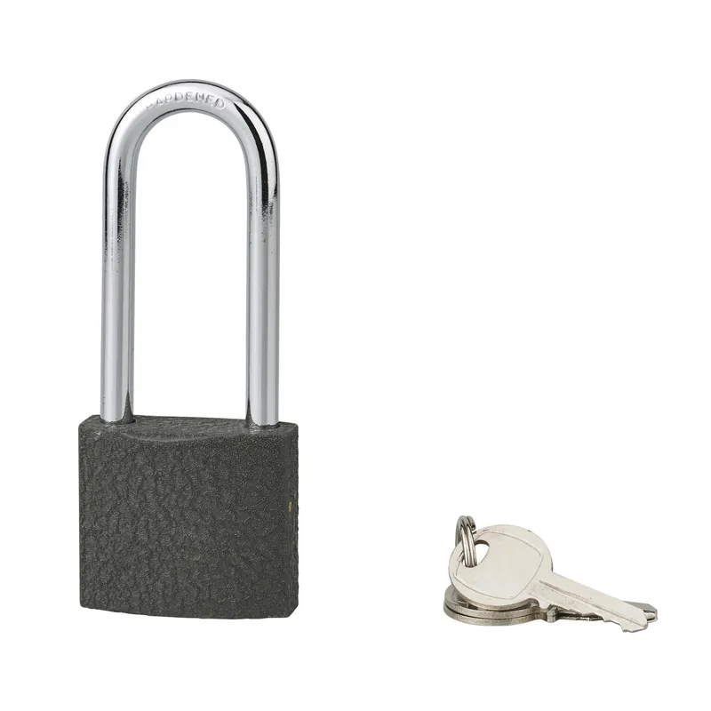 Rechtstreeks Van De Fabrikant Lucchetto a cilindro Acera grigio 40 mm arco 61 mm 3 chiavi