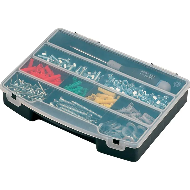 Betaalbaar Porta minuteria ProOrganizer 10 con 10 scomparti