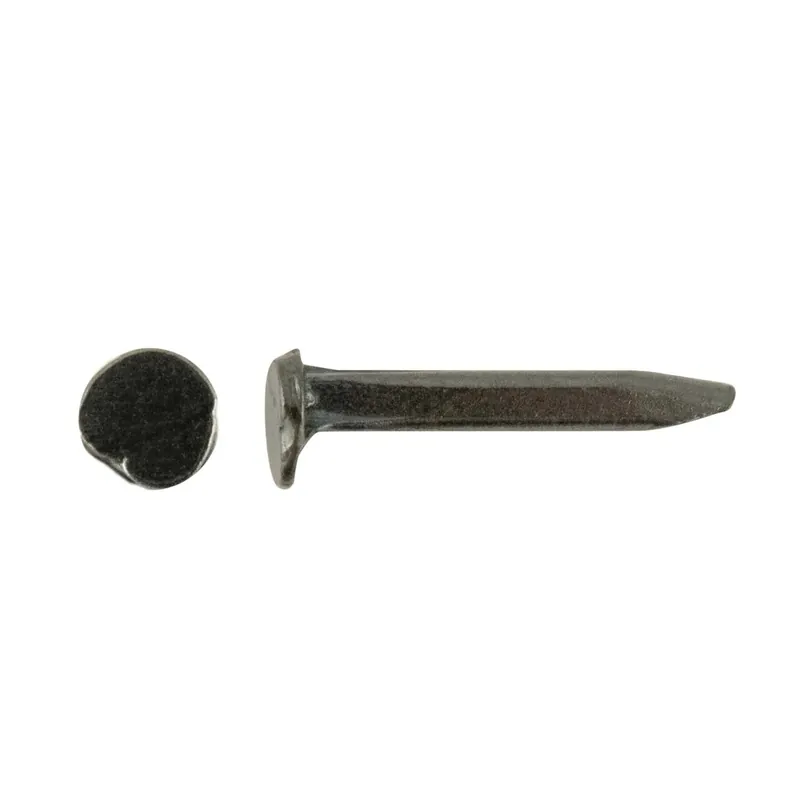 Shop Nu Chiodi sellerina per tappezzieri acciaio ossidato blu 2x20 mm 300 pz