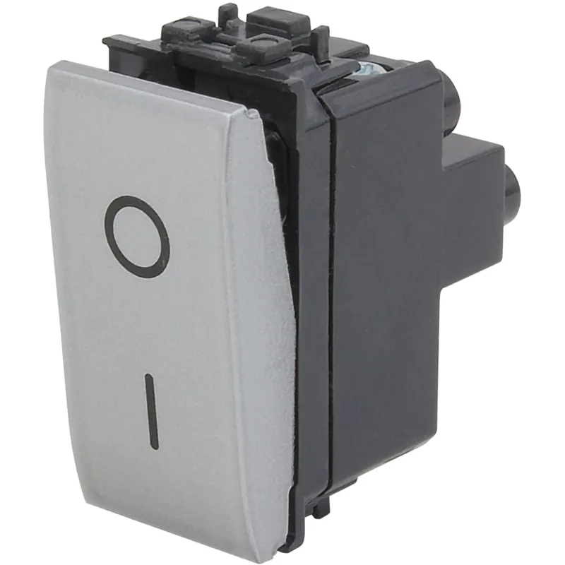 Frutto interruttore bipolare 16 A 250 V argento Meest Verkocht