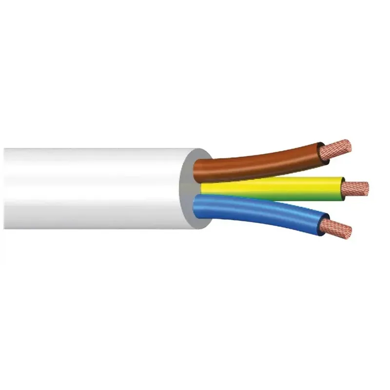 Superprijs Cavo trIPolare h05vv-f 3x2,5 b 10 m