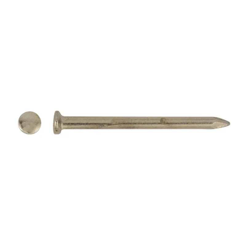 Beste Prijs Chiodo testa bombata ferro nichelato 1,8x18 mm 80 pz