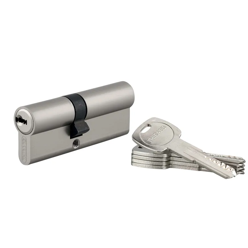 Cilindro di sicurezza Trafic6 35x45 mm meccanismo 6 perni 5 chiavi Direct Beschikbaar