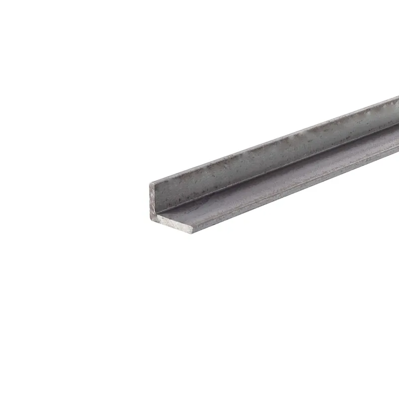 Favoriet Profilo angolare a L 1 m 40x20 mm in ferro