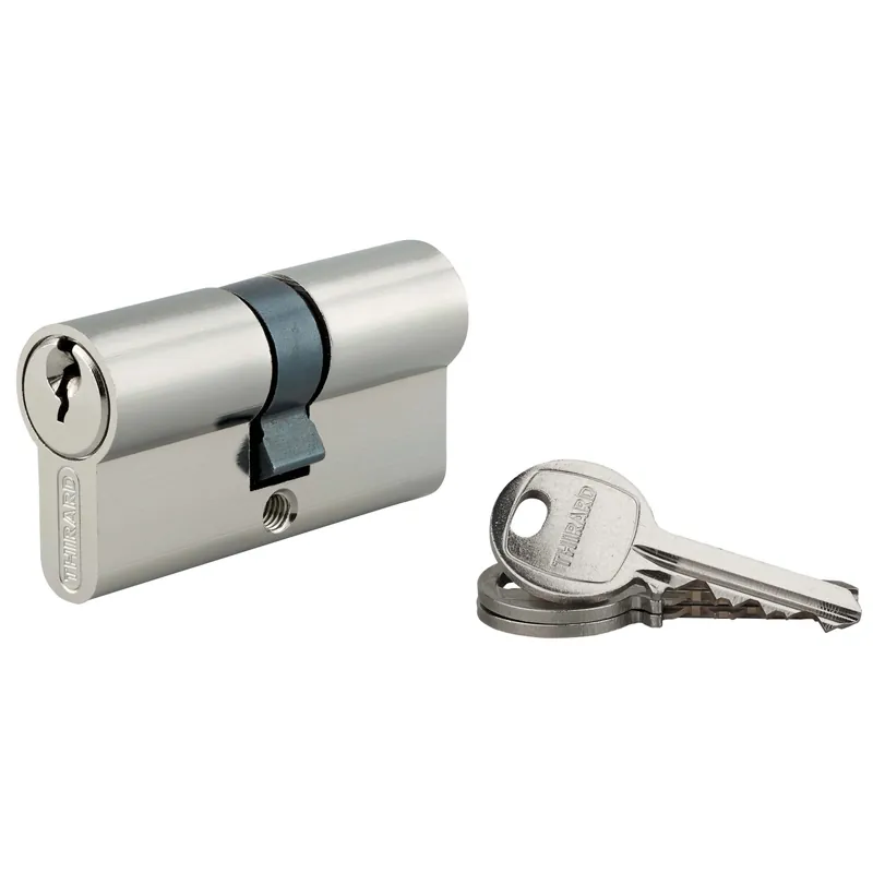 Cilindro di sicurezza SA nichelato 30x30 mm meccanismo 5 pin 3 chiavi Weekendaanbieding