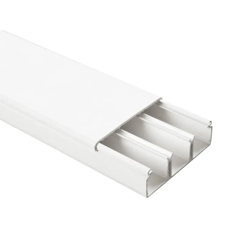 Bestel Nu Canale portacavo 60 mm x 20 mm a 3 vie bianco 2 m