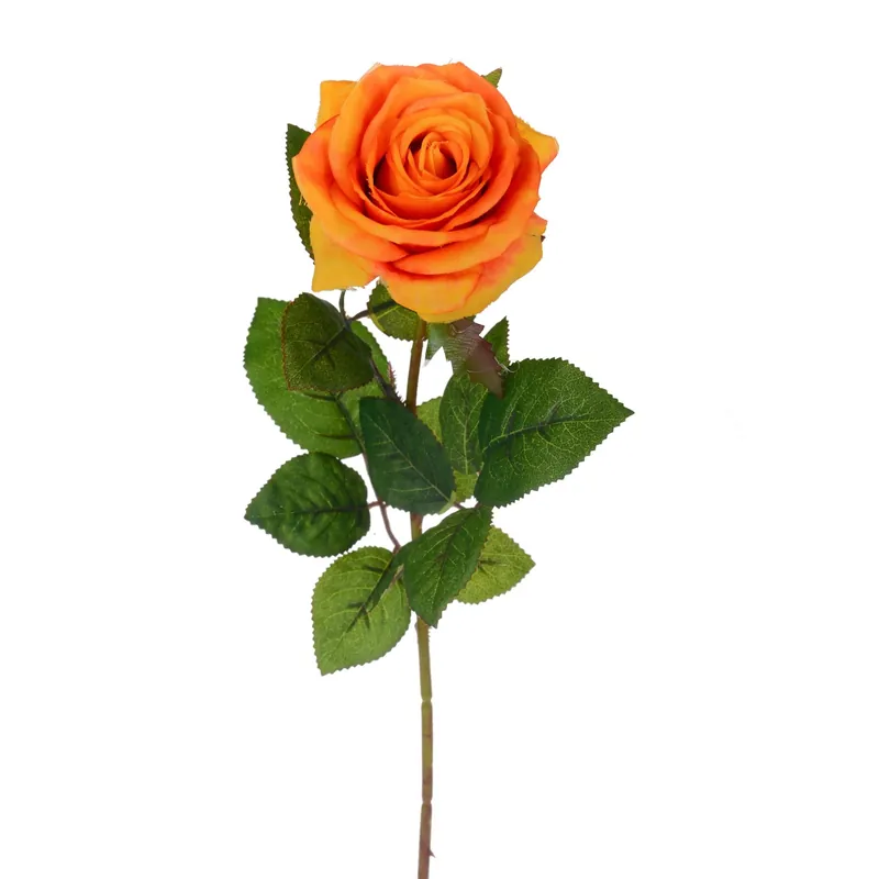 Koop Online Rosa singola arancio H 67 cm