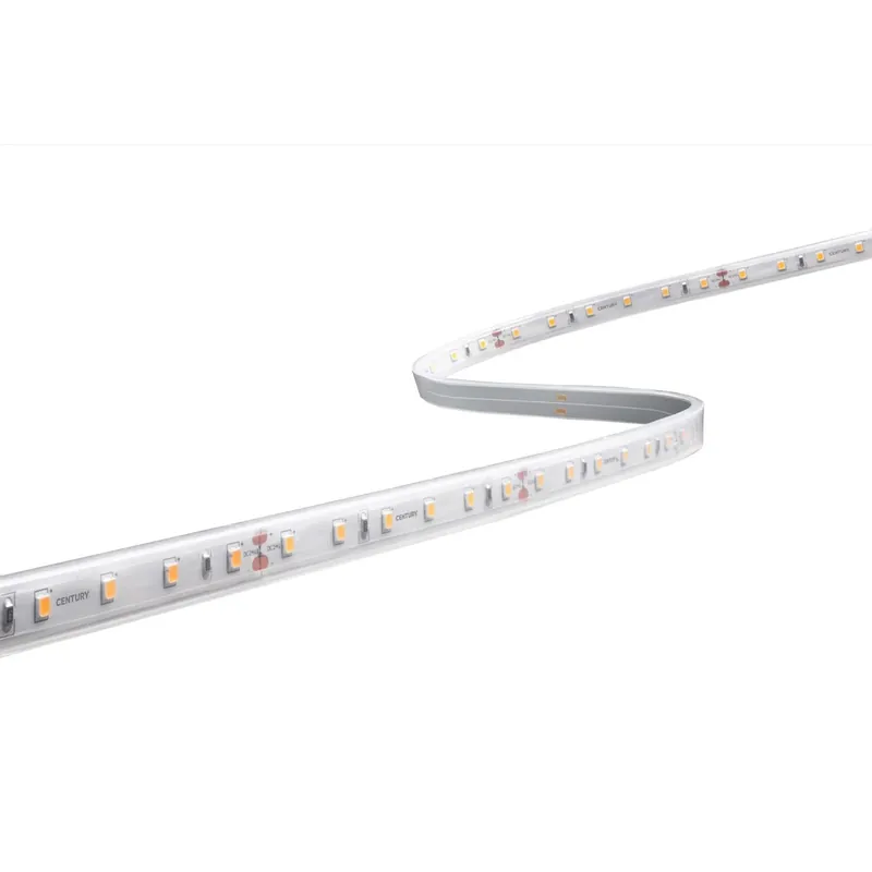 Striscia LED Accento Pro 5 m 60 W 4000K 1200 Lm/m IP67 Lage Kosten