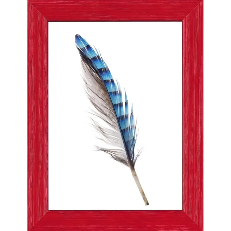 Cornice da muro Newman rosso crilex 50x70 cm Weekendaanbieding