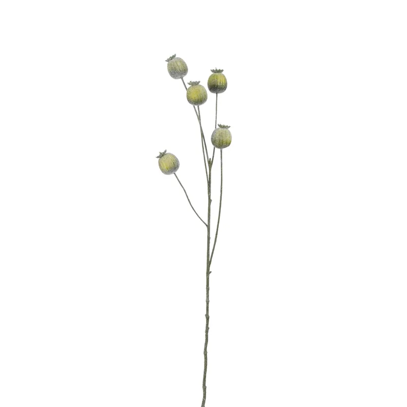 Hete Deal Papaveri verdi 73 cm