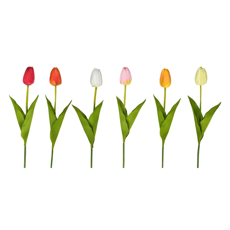 Bestel Nu Tulipano colori assortiti H 54 cm