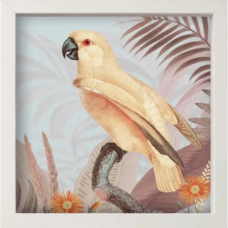 Koop Vandaag Stampa Incorniciata Tropical Parrot
