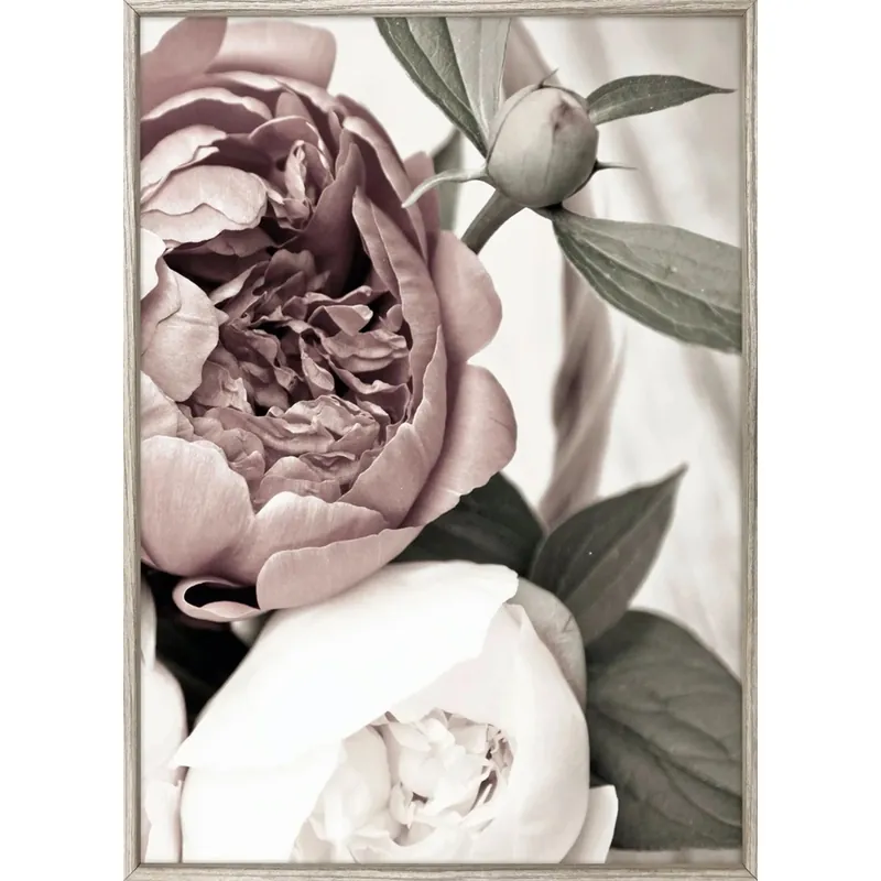 Stampa incorniciata, Opulent 2, 50x70 cm Betaalbaar
