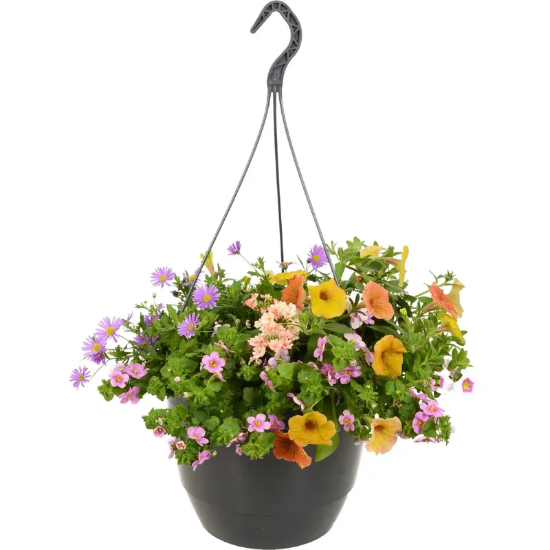Fiori da appendere mix vaso Ø 27 cm Fabrieksprijs