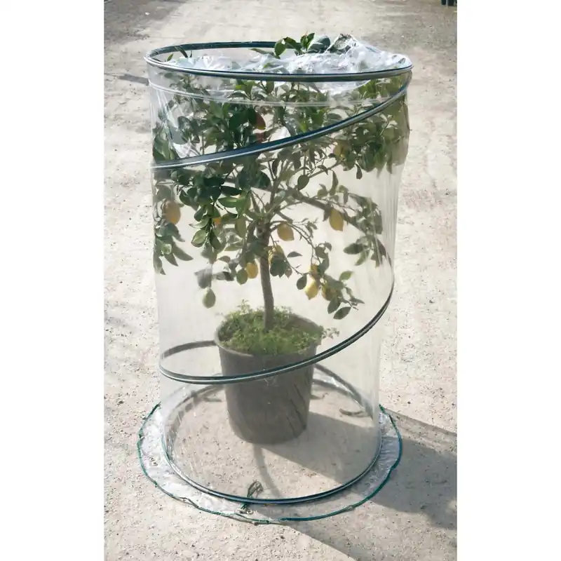 Lage Kosten Serra da terrazzo pop-up Citrus Ø 90 cm x h 150