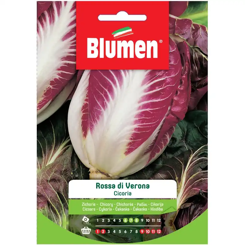 Veilige Betaling Semi Blumen Cicoria rossa di Verona 20 g