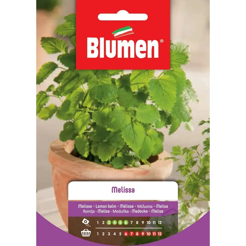 Direct Beschikbaar Semi Melissa Blumen
