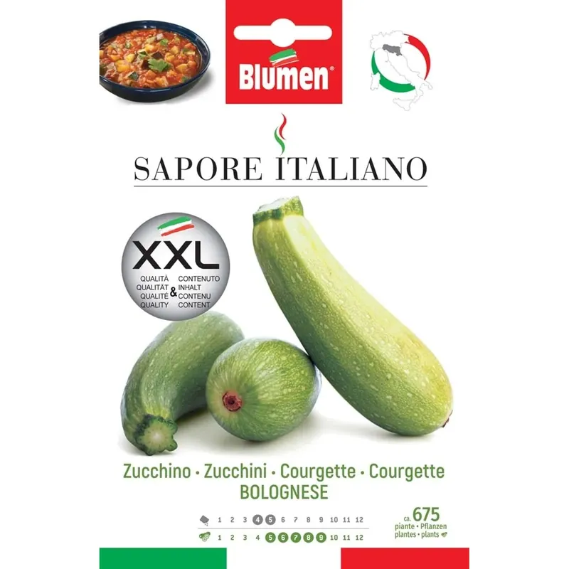Semi Blumen Zucchino bolognese XXL Gereduceerde Prijs