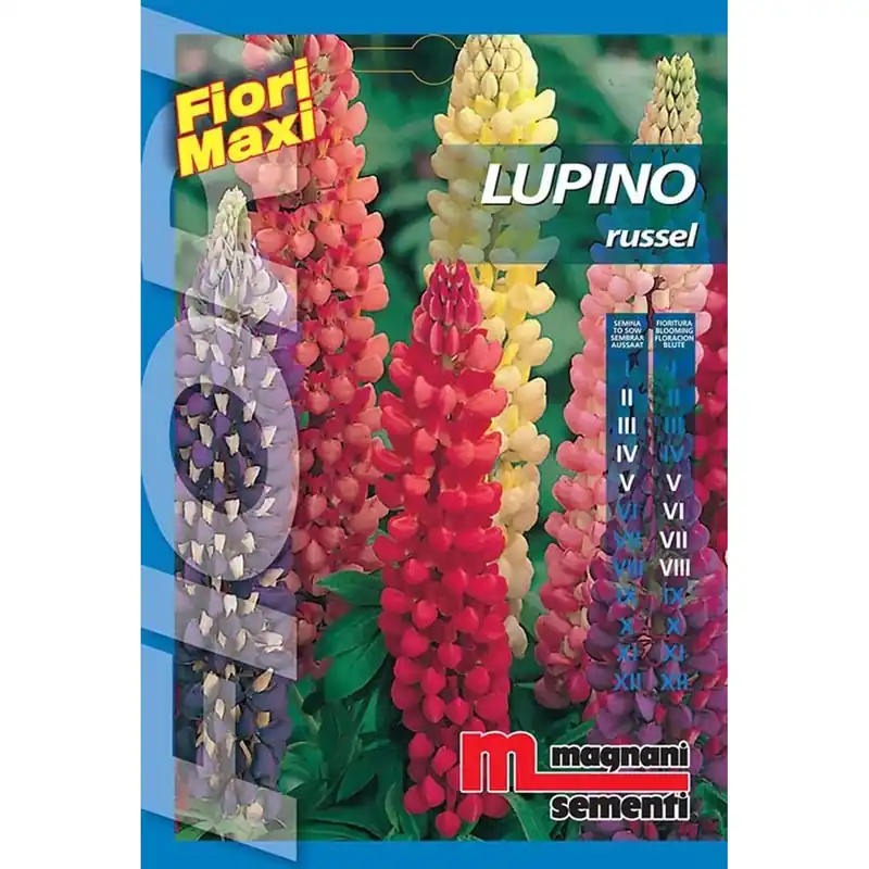 Semi fiori Lupino Russel Merkproduct