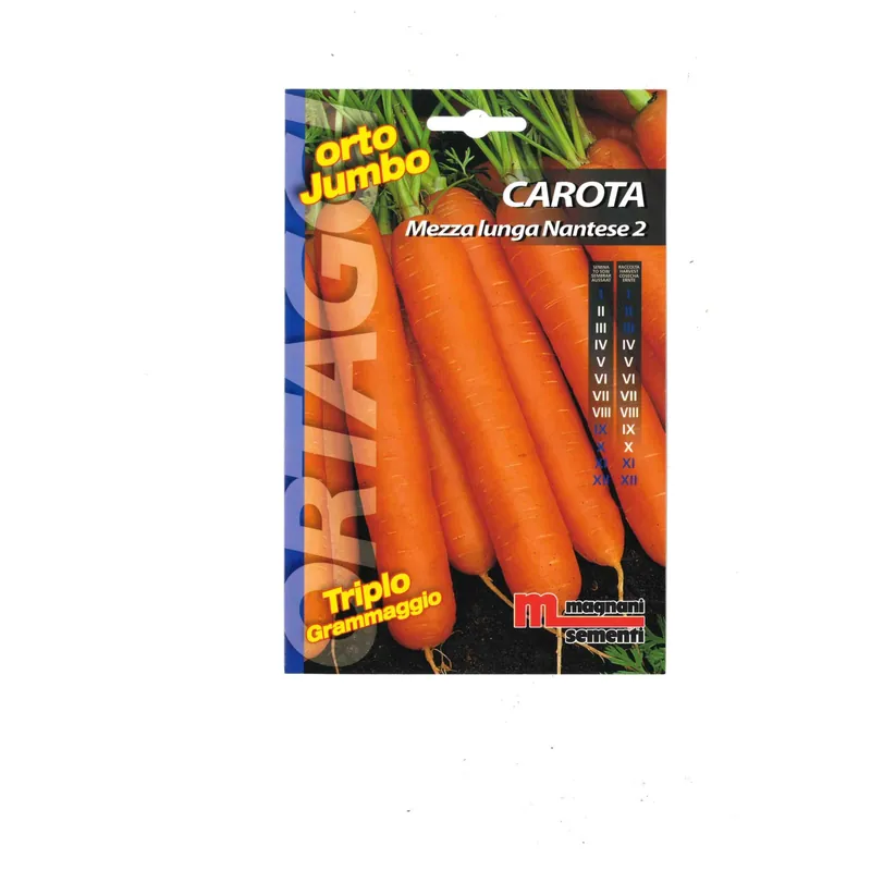 Semi orto Jumbo Carota Nantese Superprijs