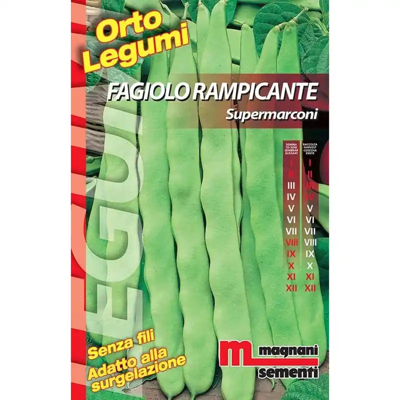 Semi Fagiolo rampicante Supermarconi 200 gr Dagaanbieding