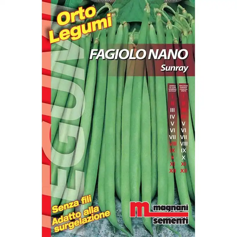 Semi Fagiolo nano Sunray 200 g Nu Kopen