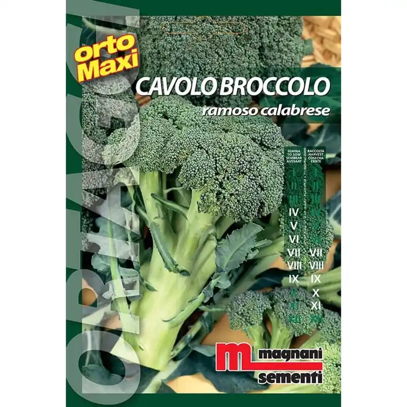 Semi orto maxi Cavolobroccolo ramoso Beperkt Aanbod