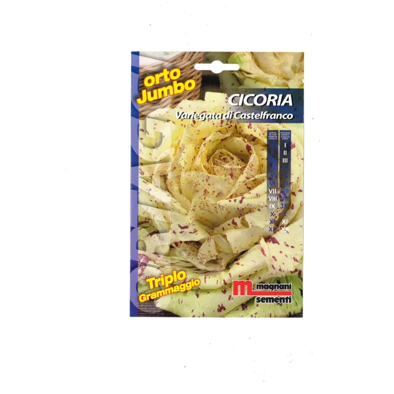 Semi orto Jumbo Cicoria Variegata di Castelfranco Gratis Retour