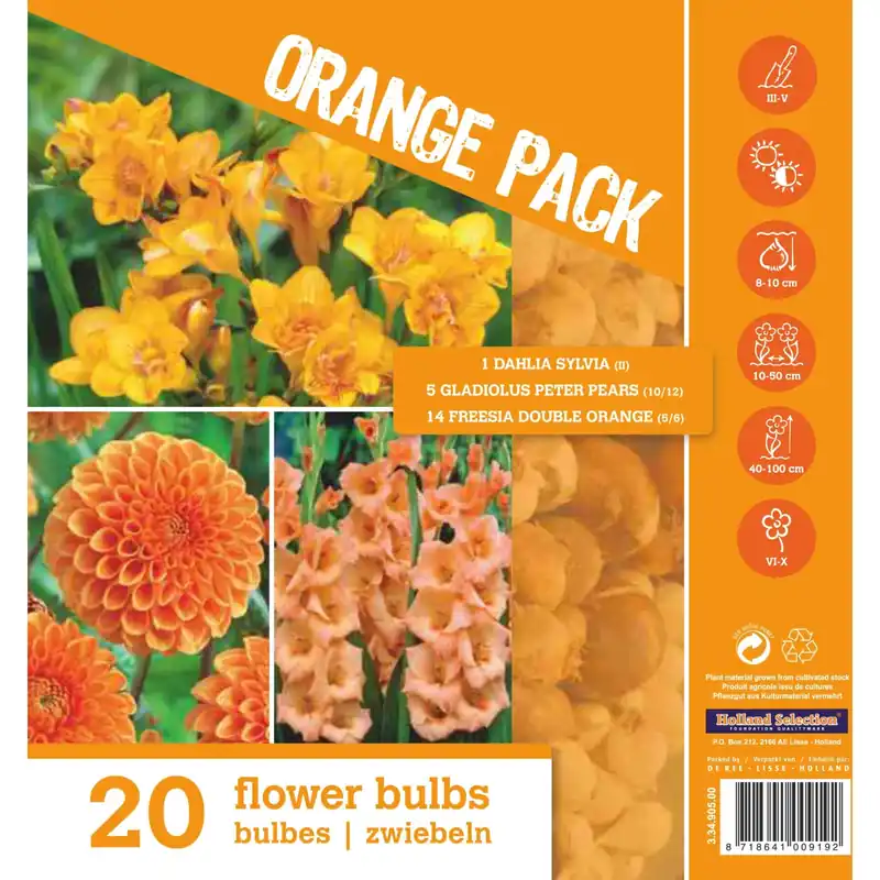 Direct Verzonden Colourpack "Arancione"
