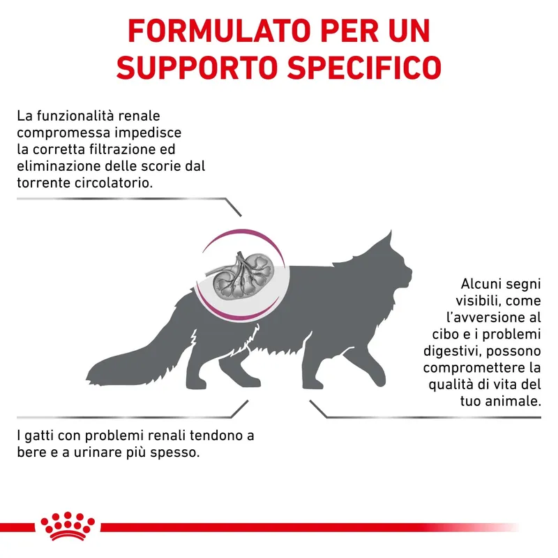 Korting Cibo secco per gatti Royal Canin Renal 2 kg